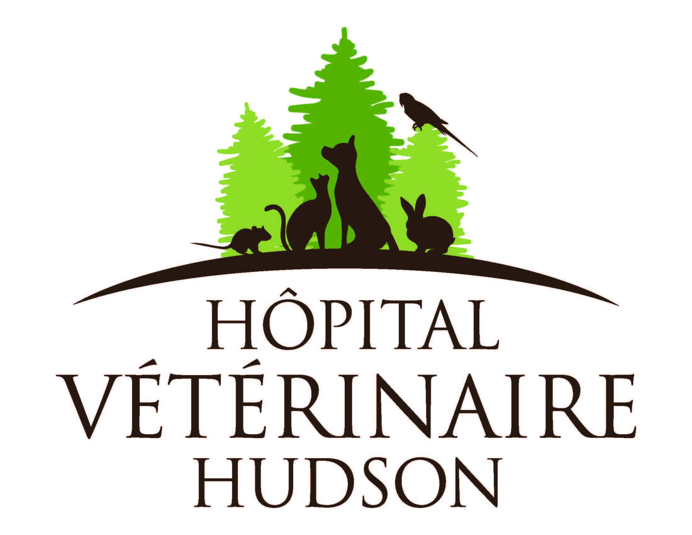 Pets for Adoption at Hudson Veterinary Hospital, in VaudreuilDorion