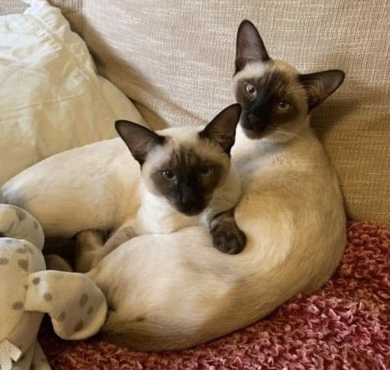 Two can be better than one