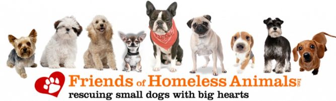 Friends of Homeless Animals, Inc.