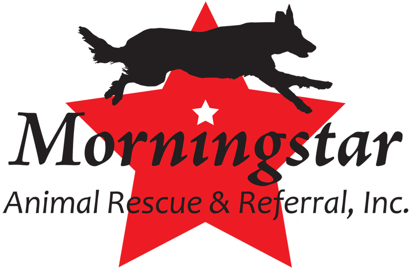 Pets for Adoption at Morningstar Animal Rescue & Referral ...