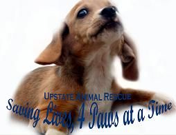 Upstate Animal Rescue Foundation of South Carolina
