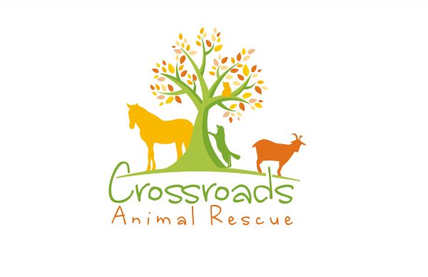 Crossroads Animal Rescue-CARE
