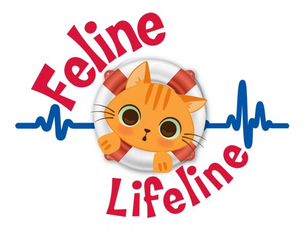 Feline Lifeline for South Carolina