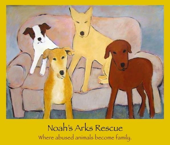 Noah's Arks Rescue