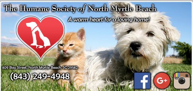 The Humane Society of North Myrtle Beach Inc.