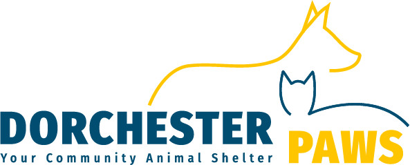 Dorchester Paws