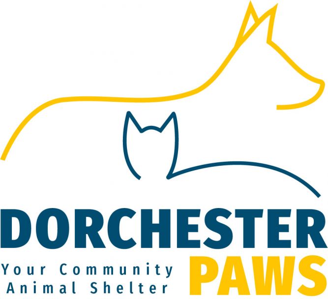 Dorchester Paws