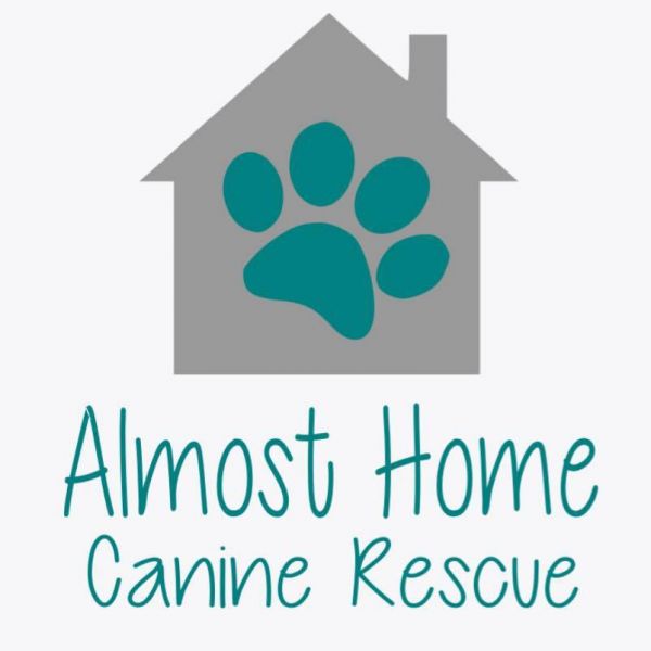 Almost Home Canine Rescue