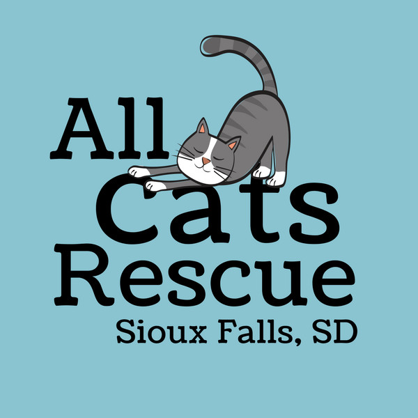 All Cats Rescue