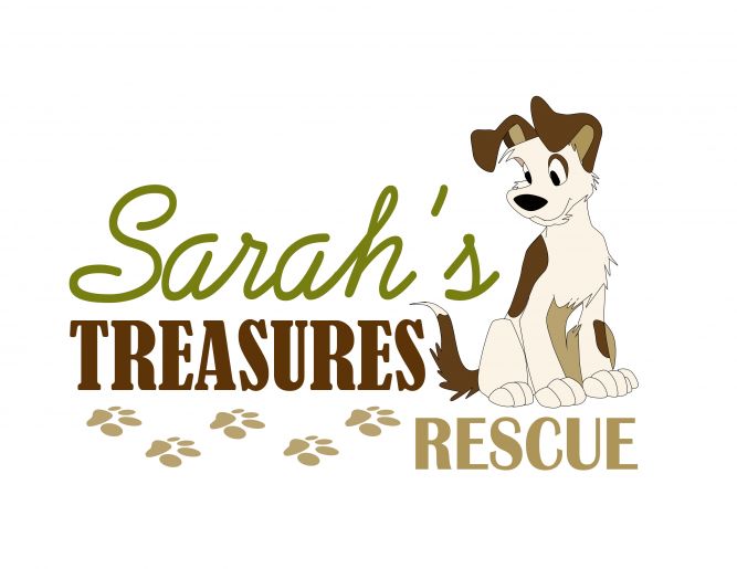 Sarah's Treasures Rescue