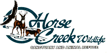 Horse Creek Wildlife Sanctuary