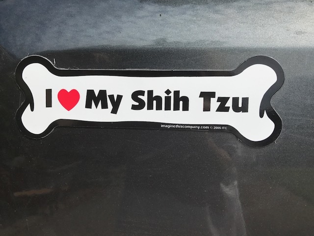 Shih-Tzu and Precious Paws Rescue