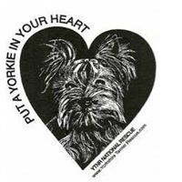 Yorkshire Terrier National Rescue Inc.