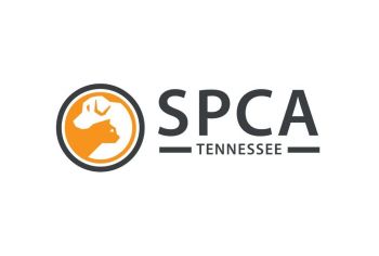 Pets For Adoption At Spca Of Tennessee In Brentwood Tn Petfinder