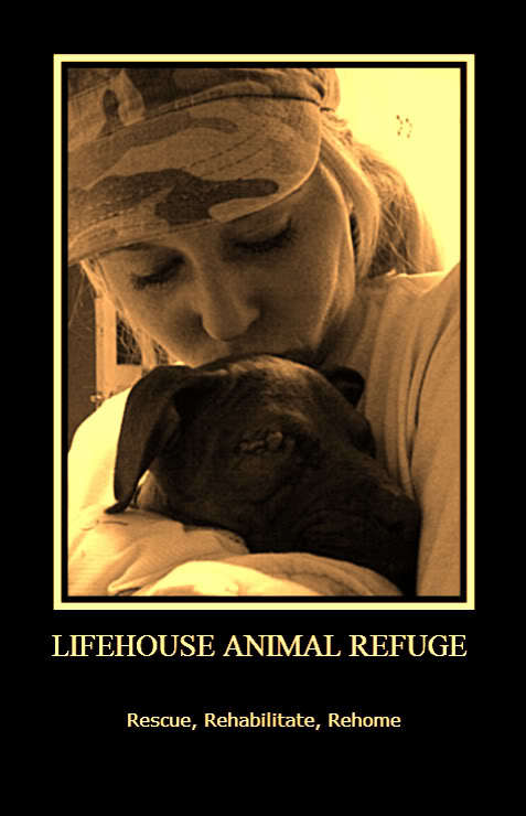 Life House Animal Refuge And Rehabilitation