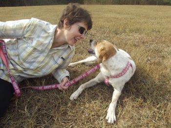 Go hiking with a shelter dog.