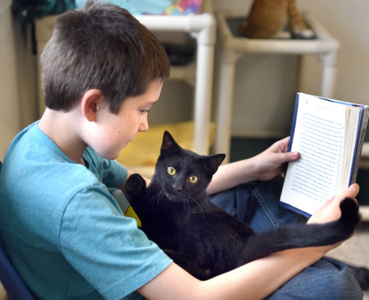 Ask about our reading program with the animals.