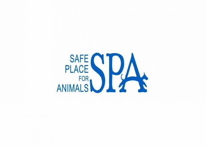 pets-for-adoption-at-safe-place-for-animals-spa-in-gallatin-tn