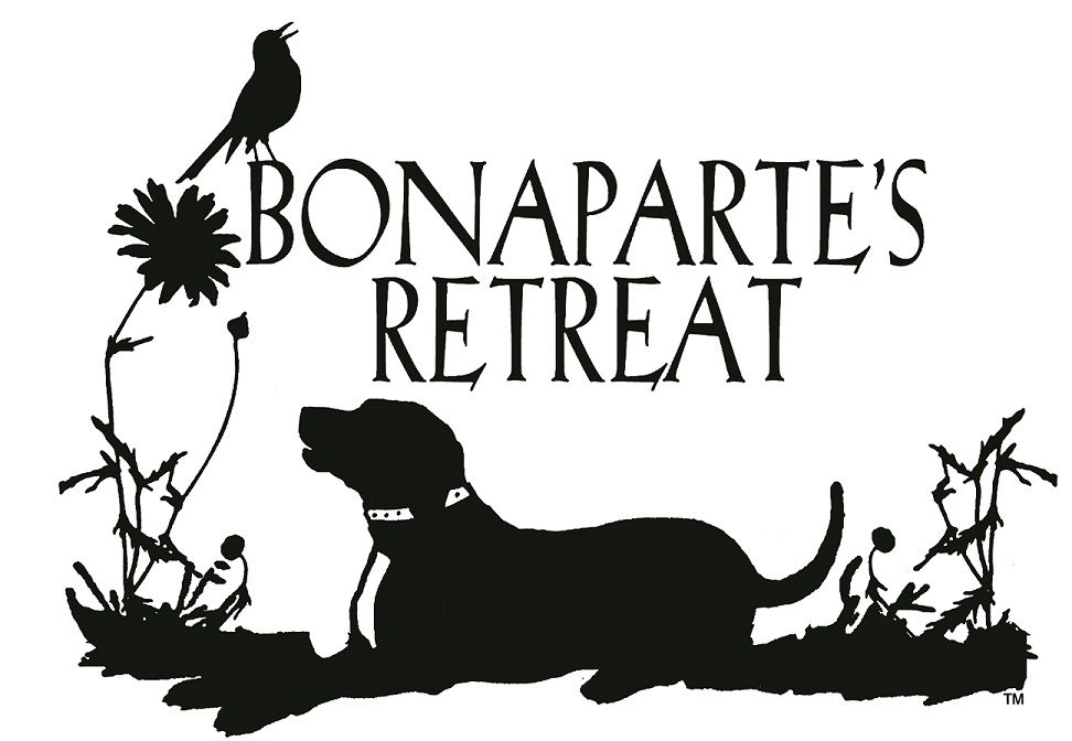 Bonaparte's Retreat