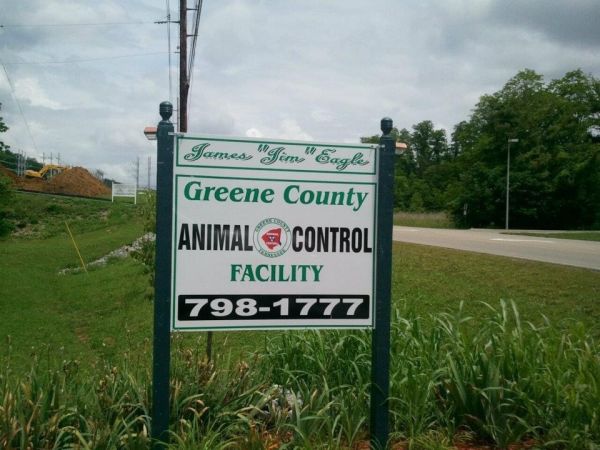 Greene County Animal Control