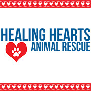 Healing hearts animal rescue 2024 group