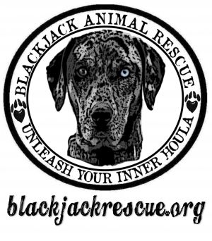 Blackjack Animal Rescue