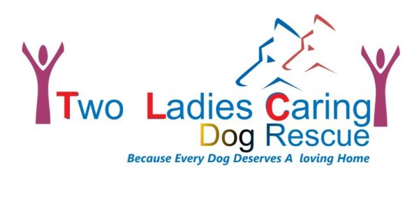 Two Ladies Caring Dog Rescue