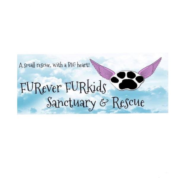 FURever FURkids Rescue