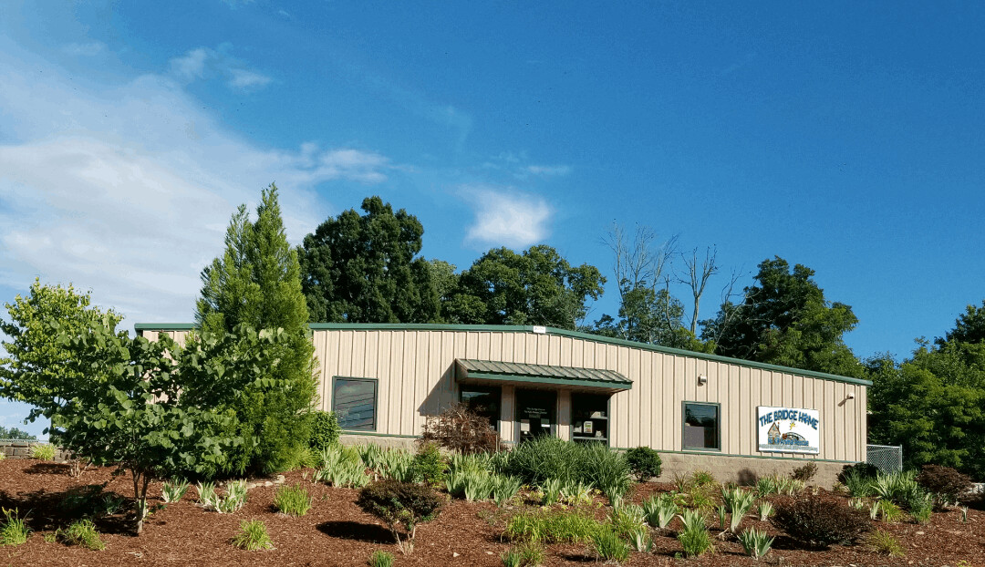 Pets For Adoption At The Bridge Home No Kill Animal Rescue In Blountville Tn Petfinder