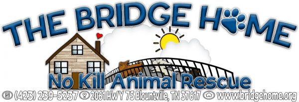 The Bridge Home No Kill Animal Rescue