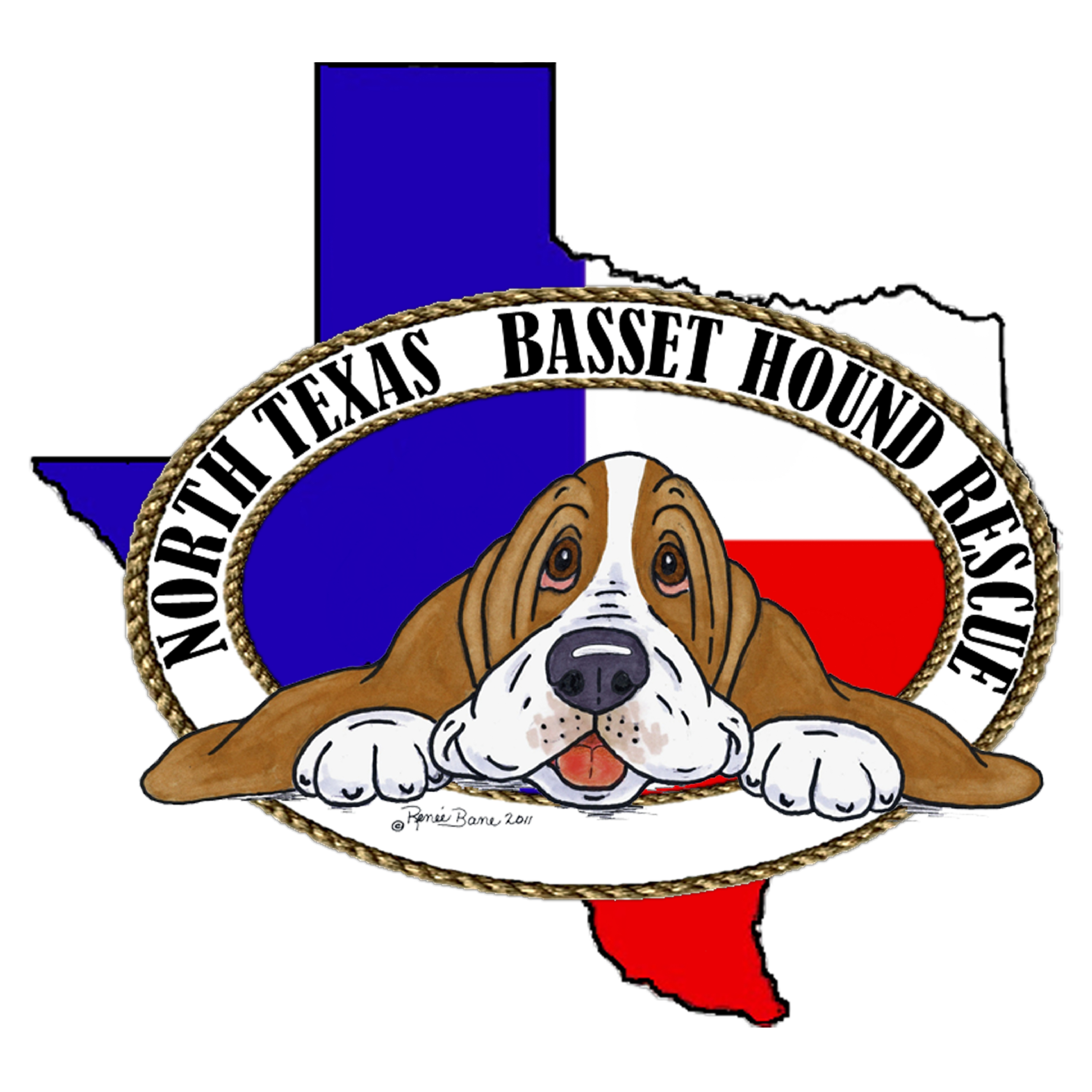 Pets For Adoption At North Texas Basset Hound Rescue Inc In Grapevine Tx Petfinder