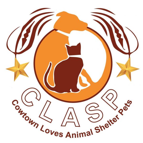 Cowtown Loves Animal Shelter Pets