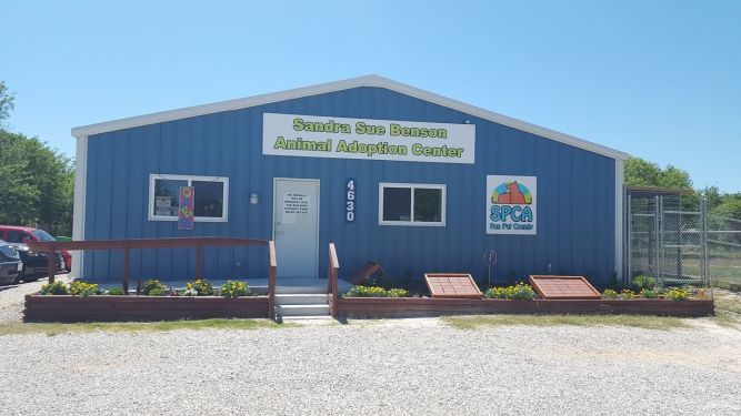 Sandra Sue Benson Animal Adoption Center (SPCA San Pat County)