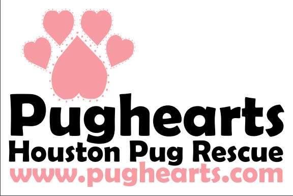 PugHearts the Houston Pug Rescue