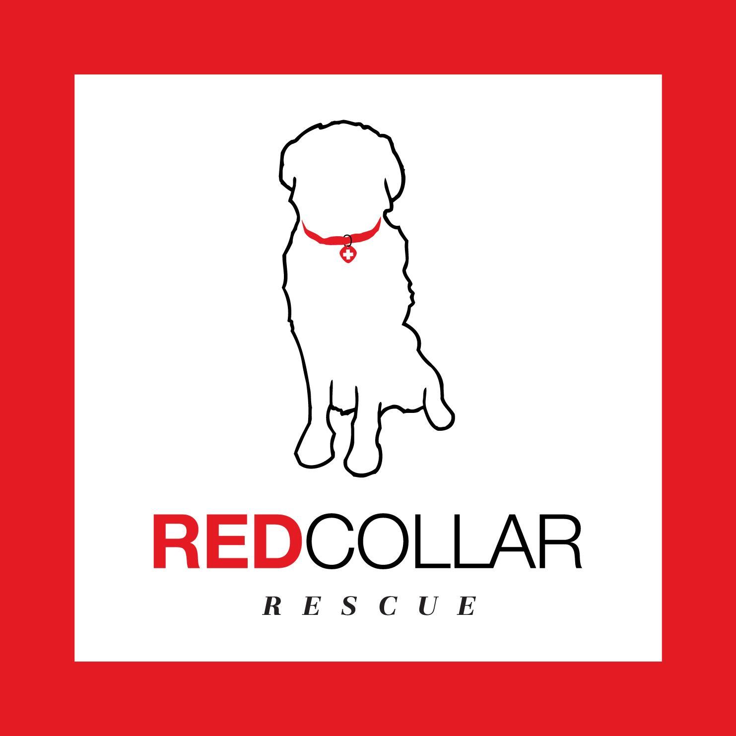 Red Collar Rescue