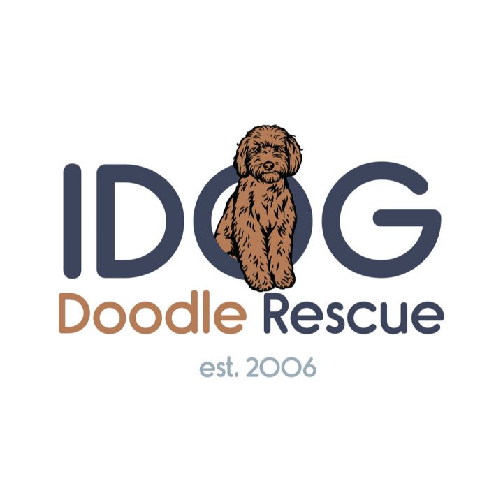 IDOG Rescue - Doodles & Poodles