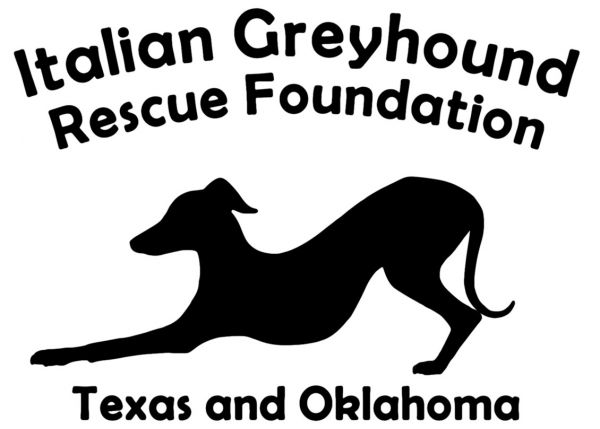 Italian Greyhound Rescue Foundation Texas and Oklahoma