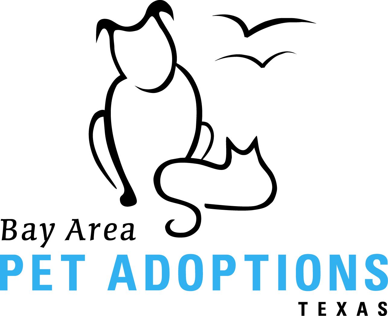 Pets For Adoption At Bay Area Pet Adoptions Spca In San Leon Tx Petfinder