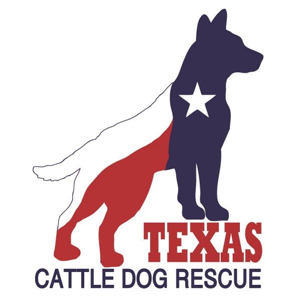 Texas Cattle Dog Rescue