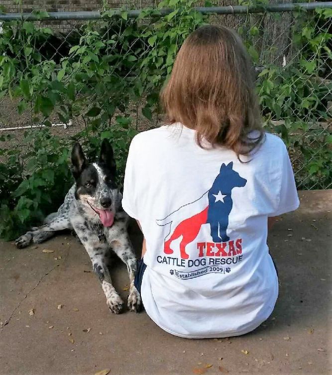 Texas Cattle Dog Rescue