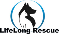 Life Long Rescue (LLR)