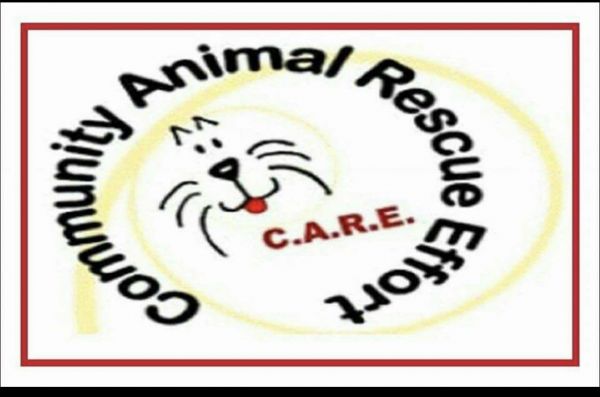 C.A.R.E. Community Animal Rescue Effort