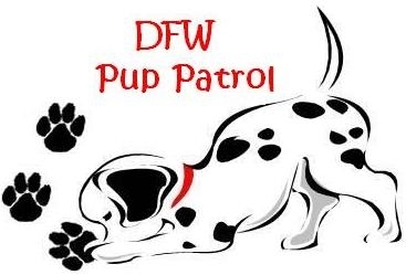 DFW Pup Patrol Rescue