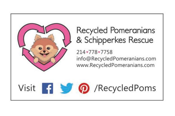 Recycled Poms and Schipperkes
