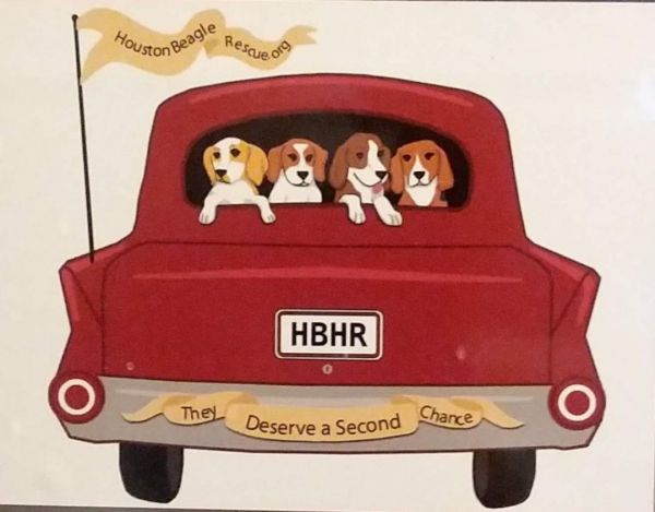 Houston Beagle Rescue