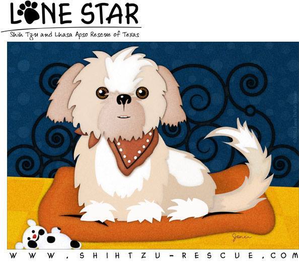 Lone Star Shih Tzu and Lhasa Apso Rescue