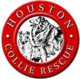 Houston Collie Rescue