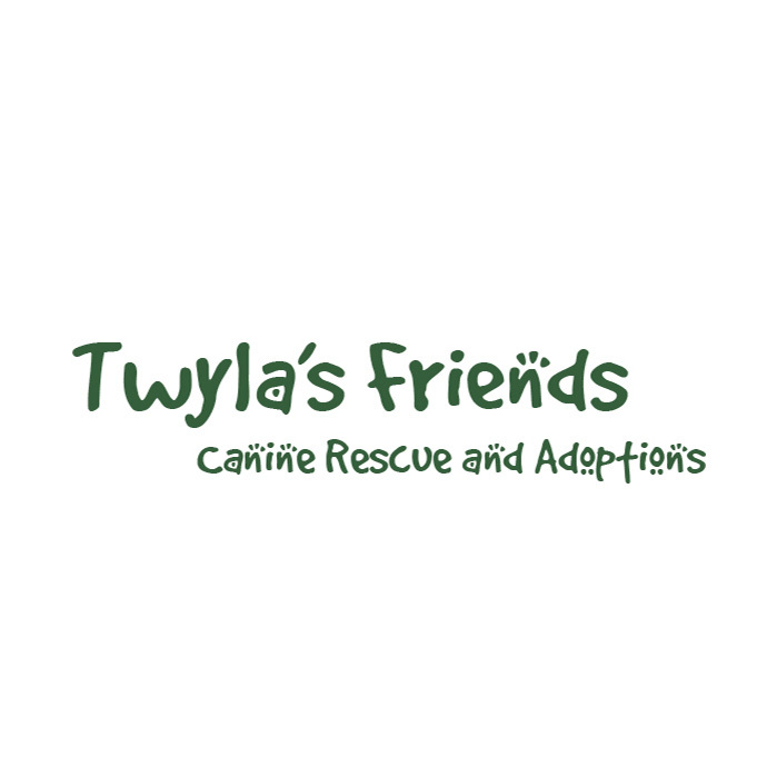 Twyla's Friends