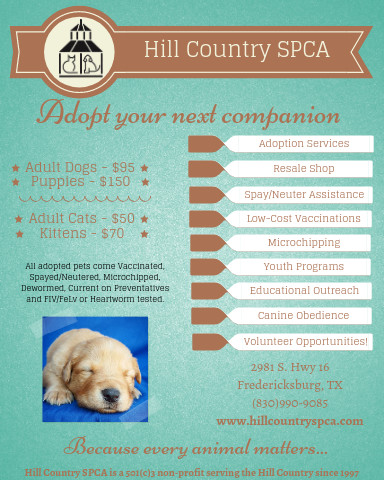 Pets For Adoption At Hill Country Spca In Fredericksburg Tx Petfinder