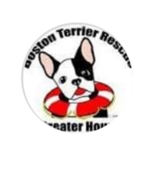Boston Terrier Rescue of Greater Houston, Inc.